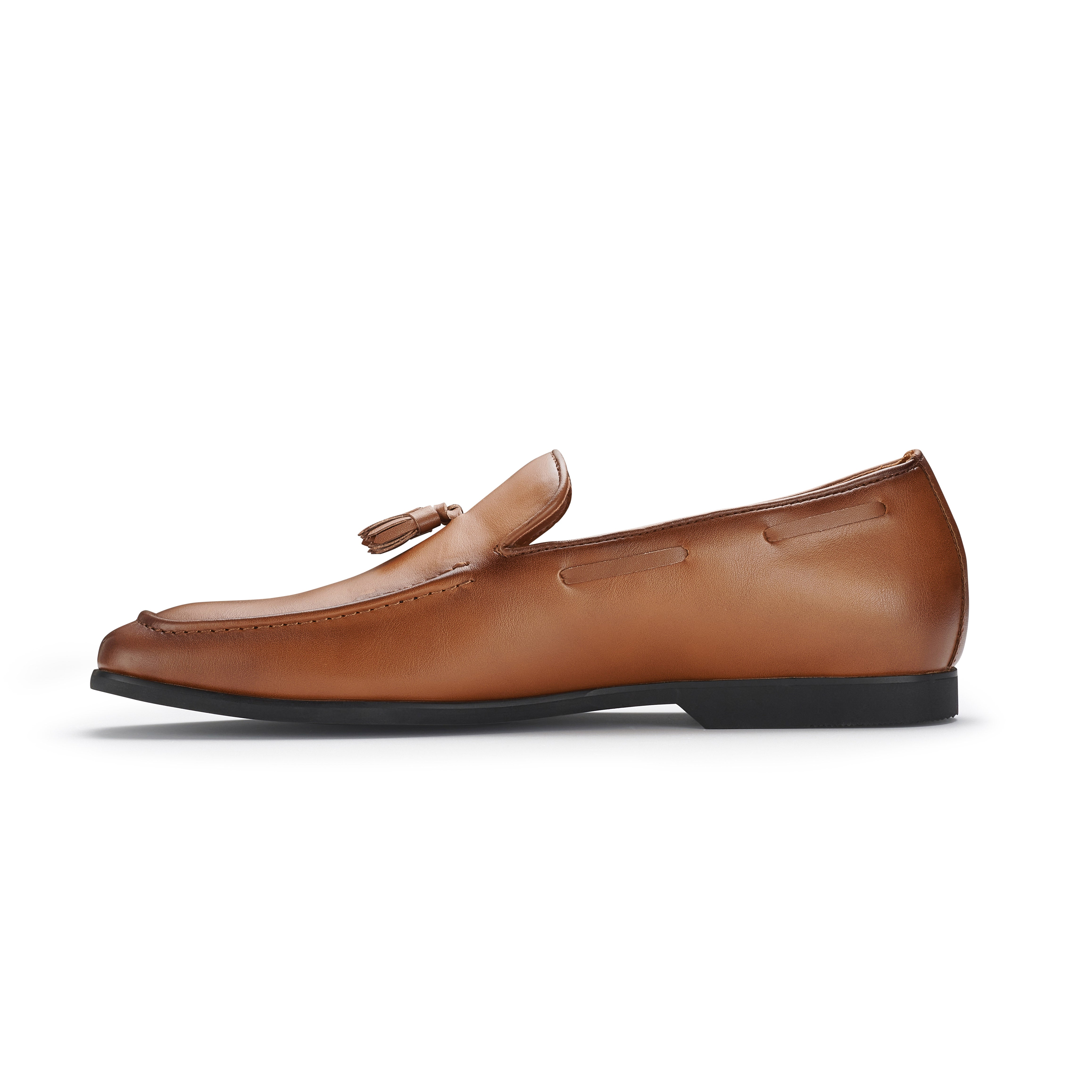 Men's Loafers with Tassels Accent | Denzel by Ferro Aldo | Conal Footwear | Inner Side Angle View
