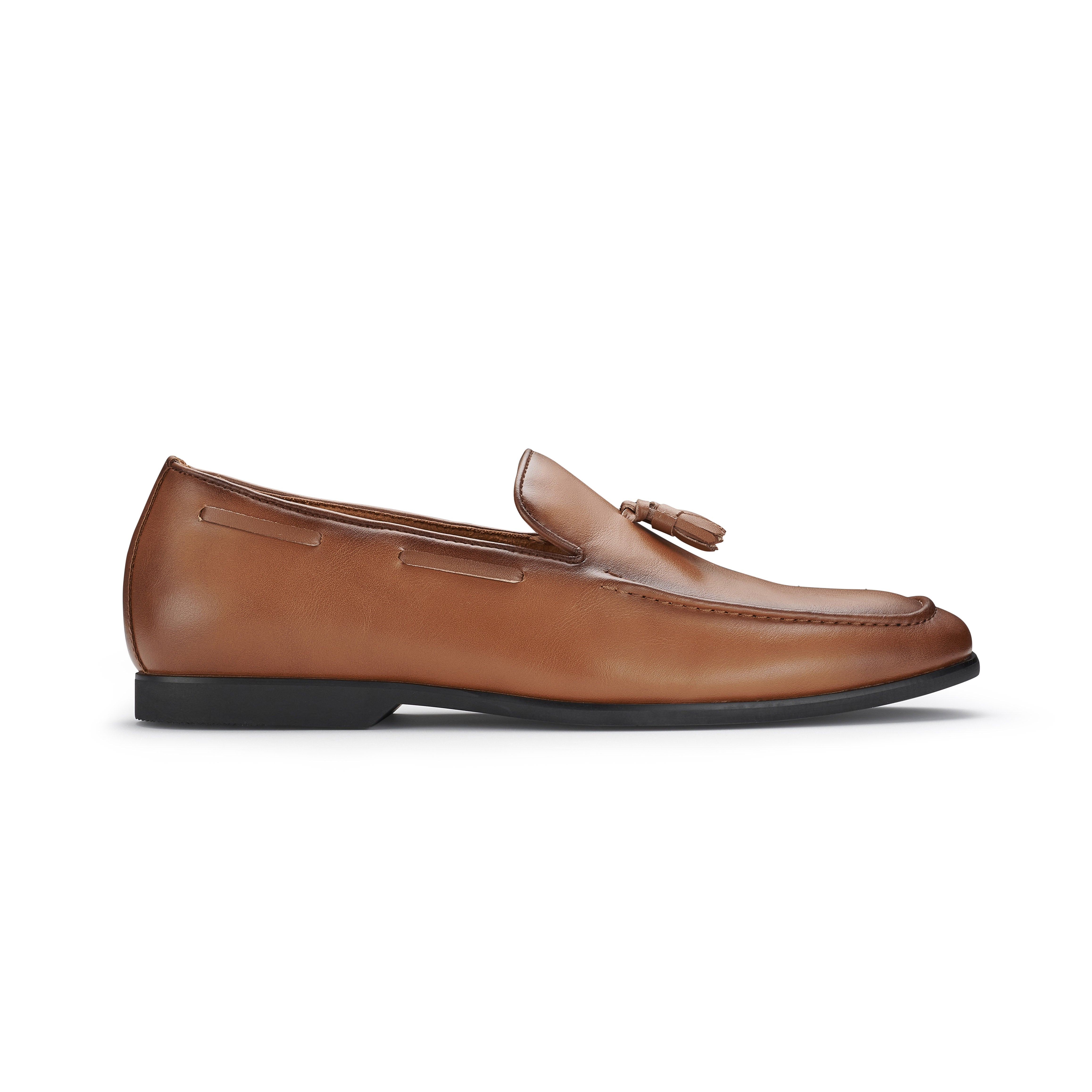 Men's Loafers with Tassels Accent | Denzel by Ferro Aldo | Conal Footwear | Outer Side Angle View
